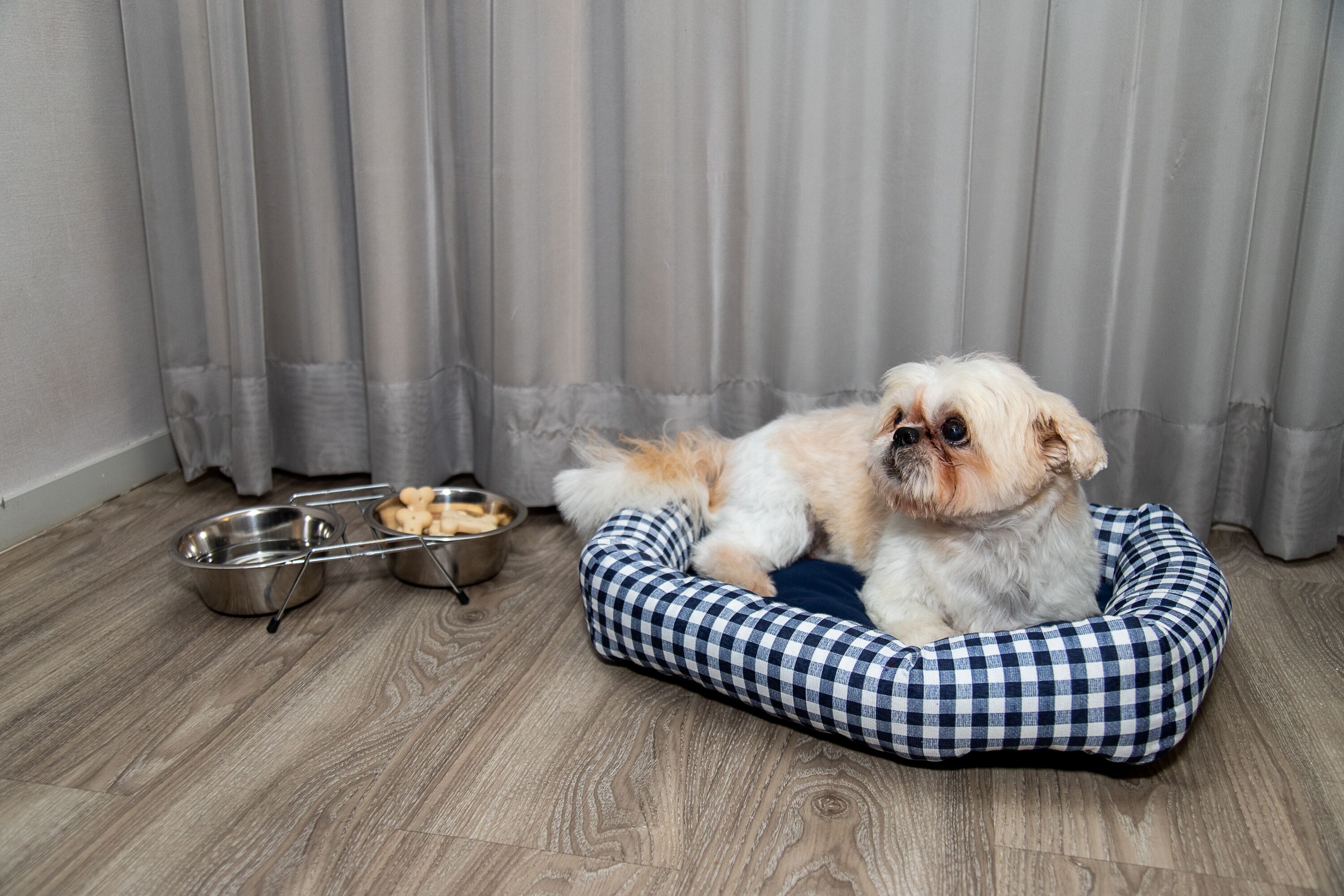 pet-friendly amenities