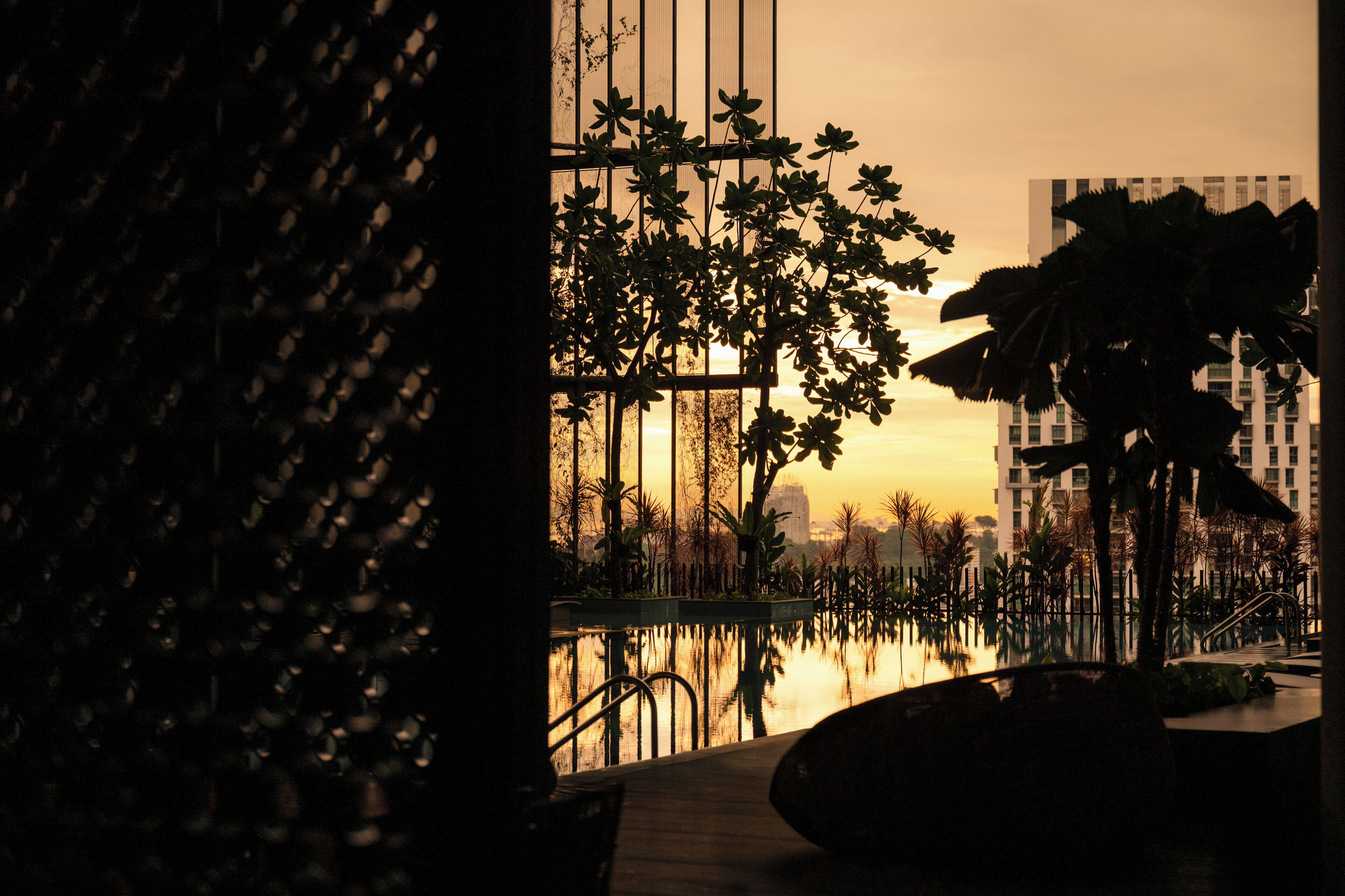 Une vue d’un bâtiment avec une piscine aux reflets scintillants, des palmiers et un coucher de soleil.