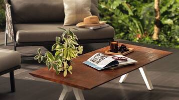 Terras