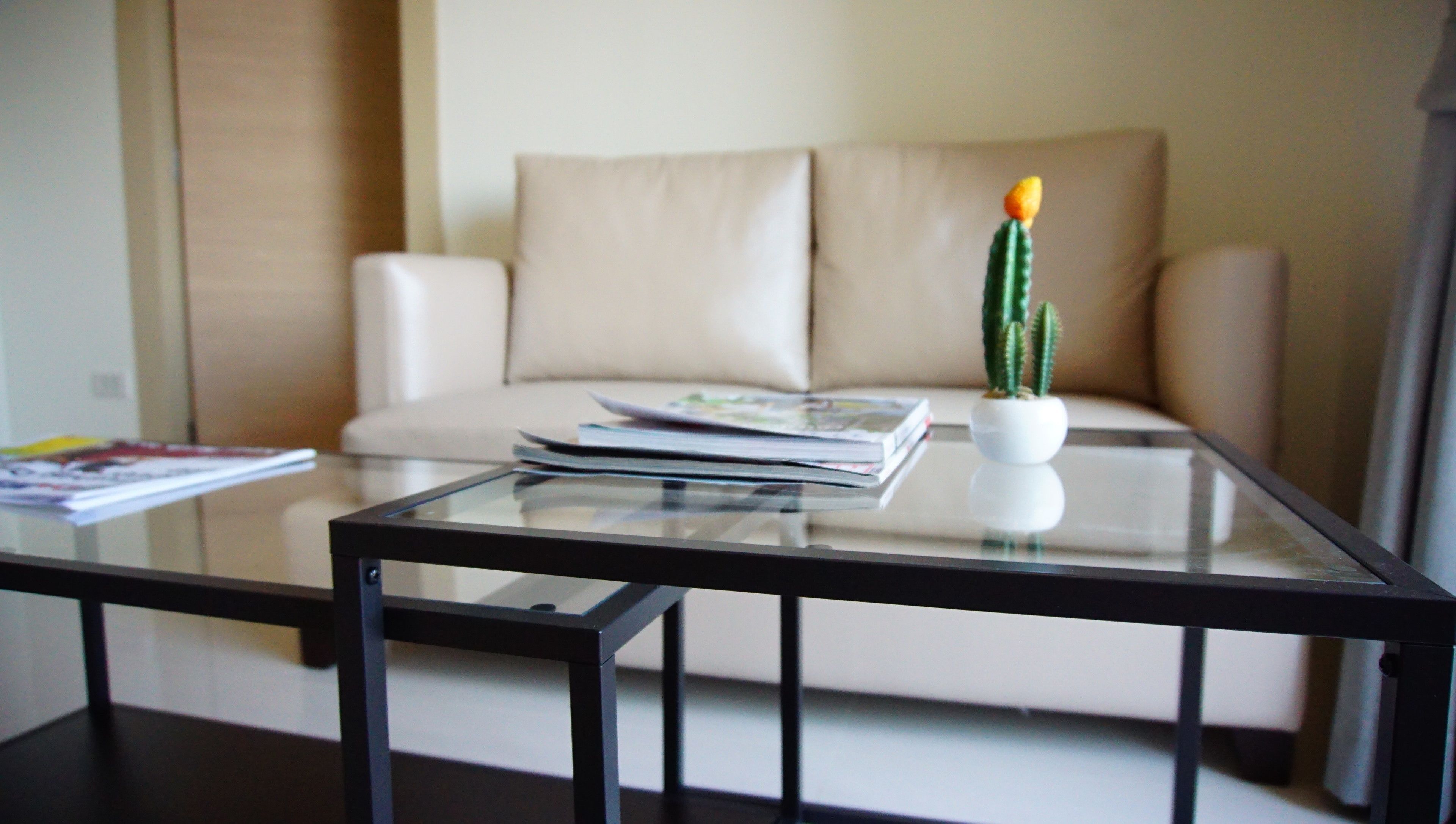 Una mesa con cubierta de vidrio, un cactus en una maceta blanca, una revista y un libro.