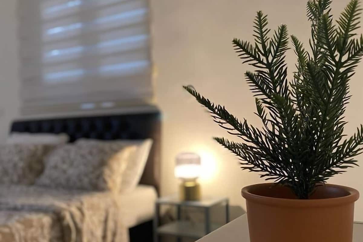 A bedroom with a bed, a nightstand, a lamp, and a potted plant.
