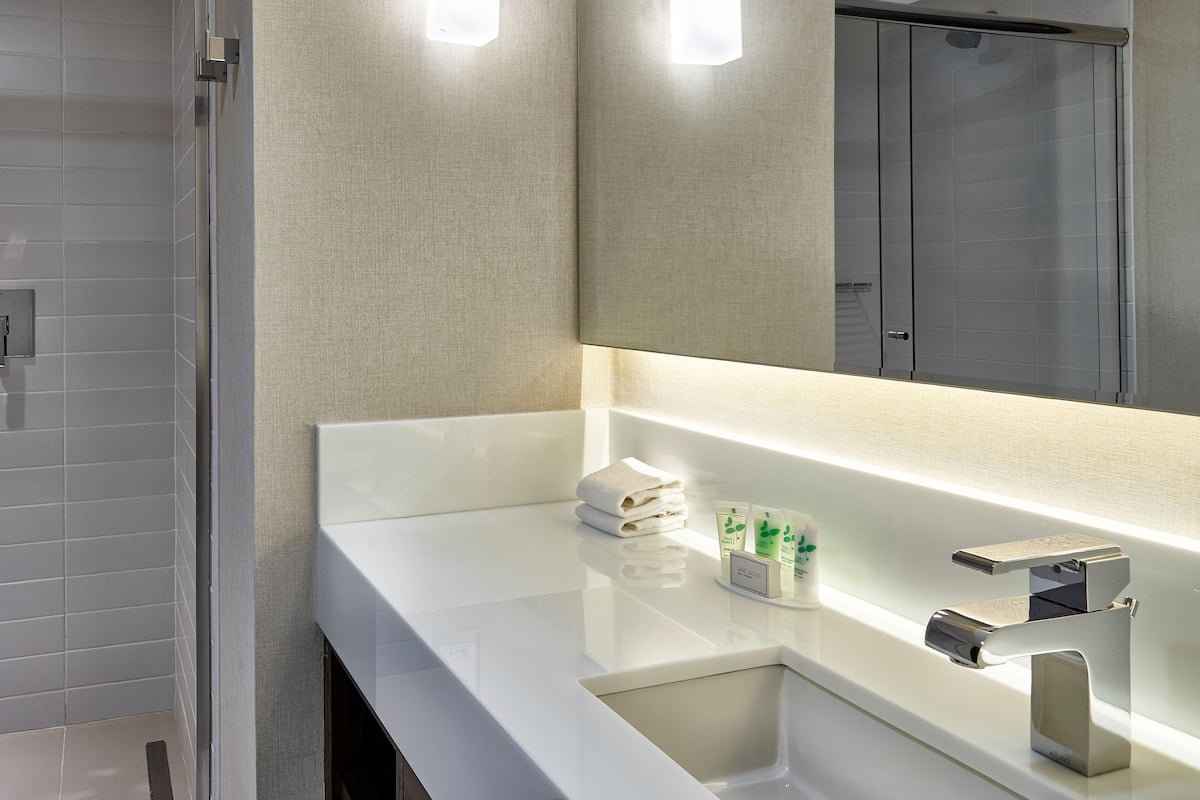 shower, free toiletries, hair dryer, towels