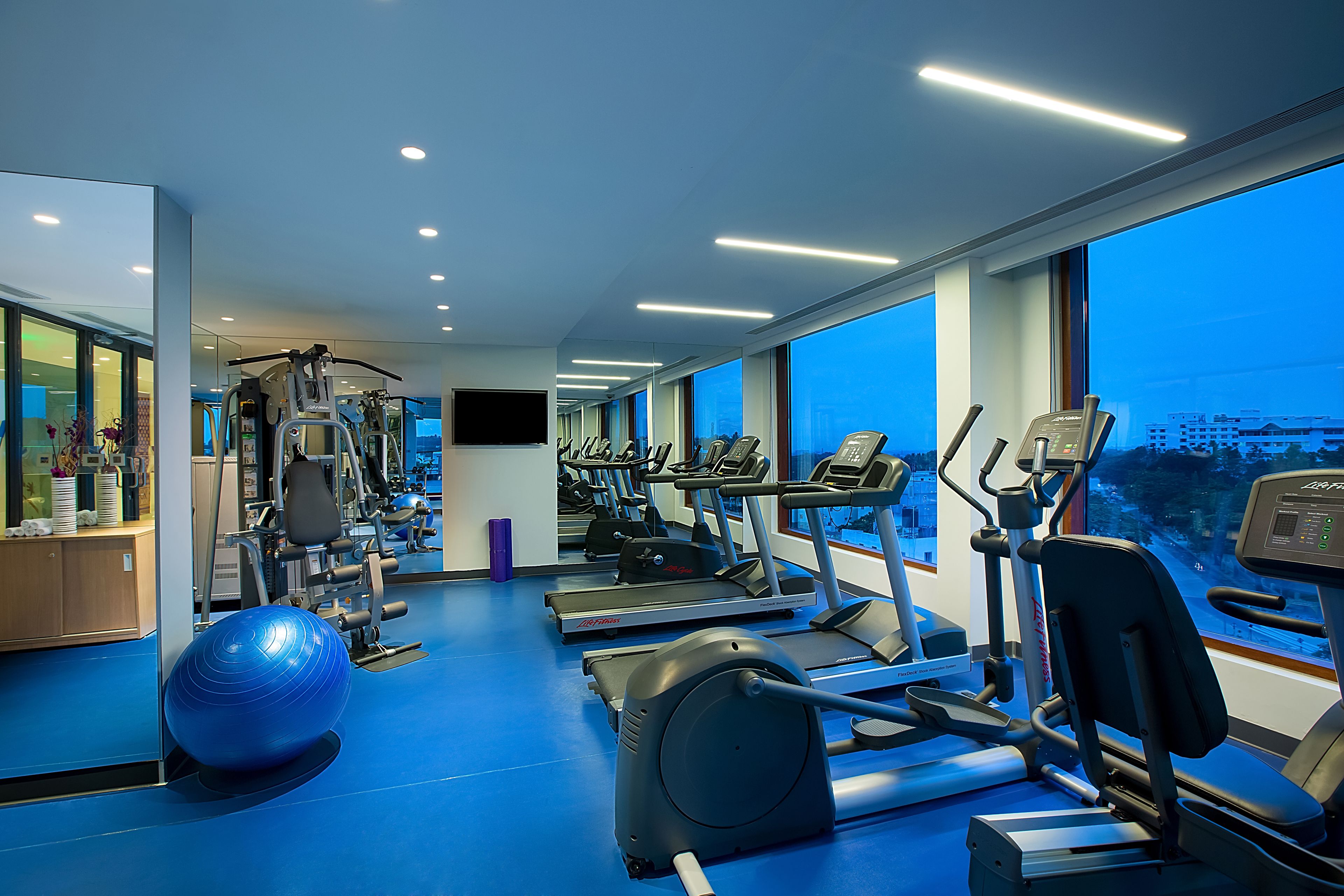 Gimnasio