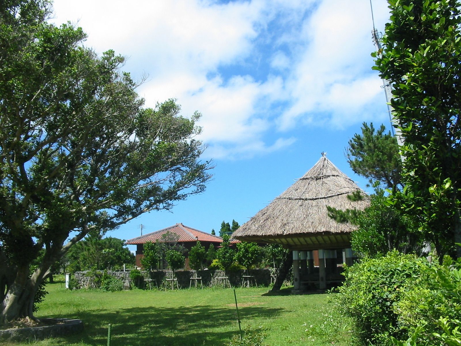 Vista desde la propiedad