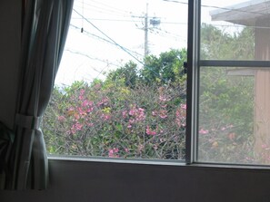 Vistas desde la habitación