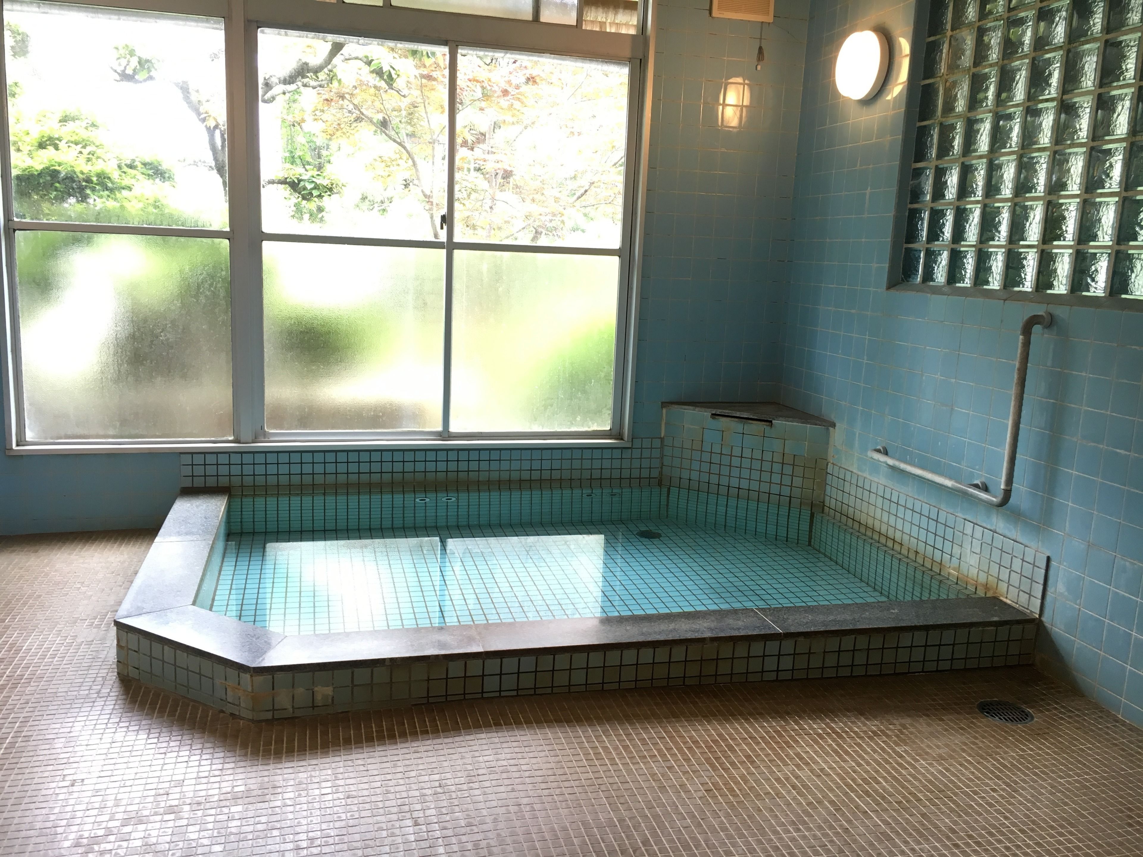 A small indoor pool with a tiled floor and walls, a window with a view of trees, and a handrail on the wall.