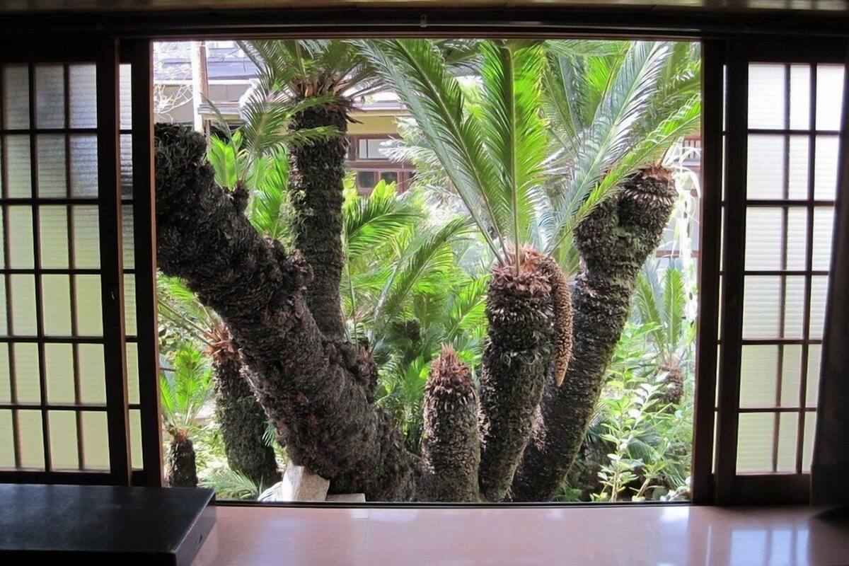 A traditional Japanese room with tatami flooring, a shoji screen, and a view of tropical plants outside.