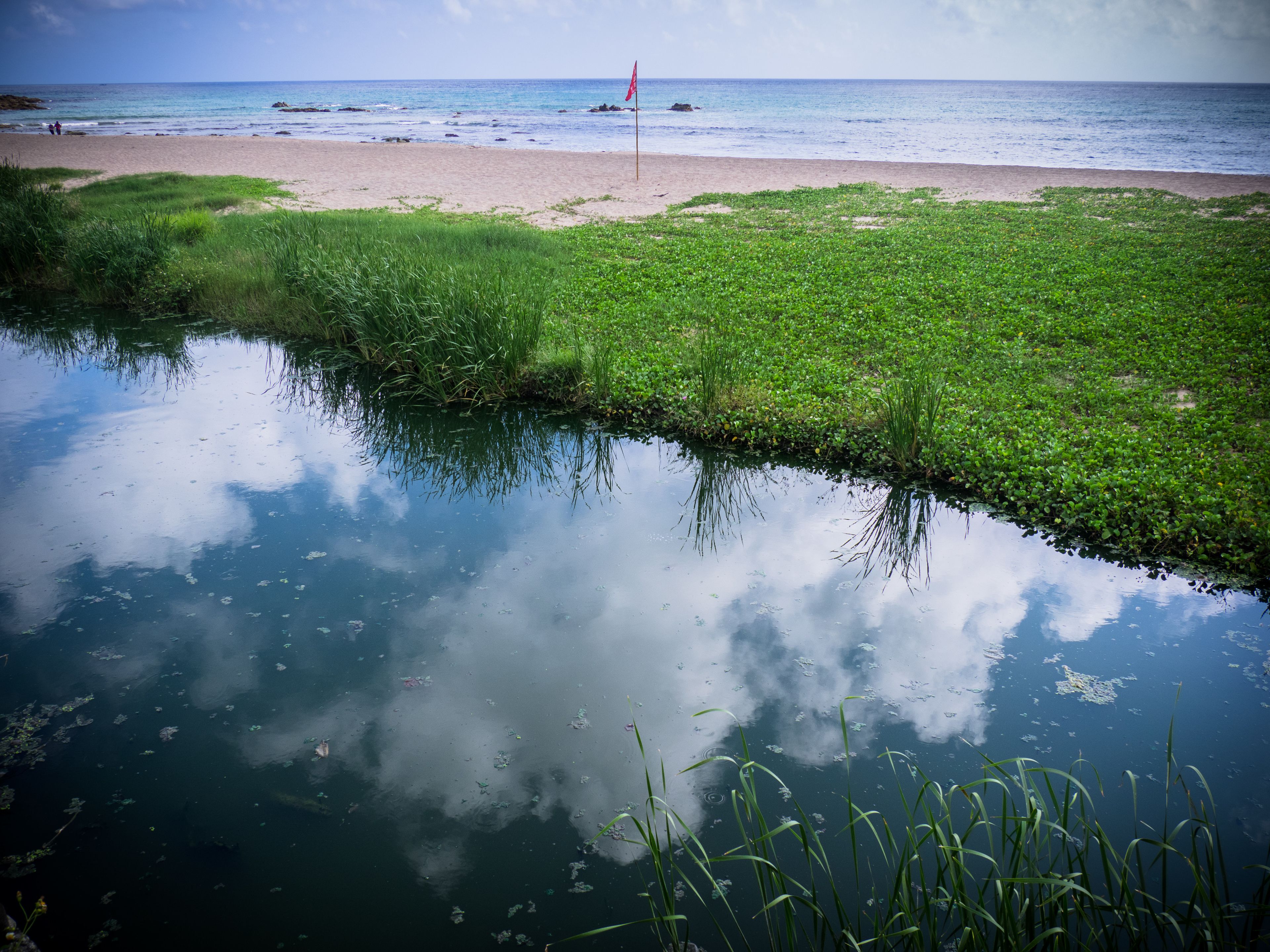 Masa de agua tranquila con reflejos del cielo y follaje circundante.