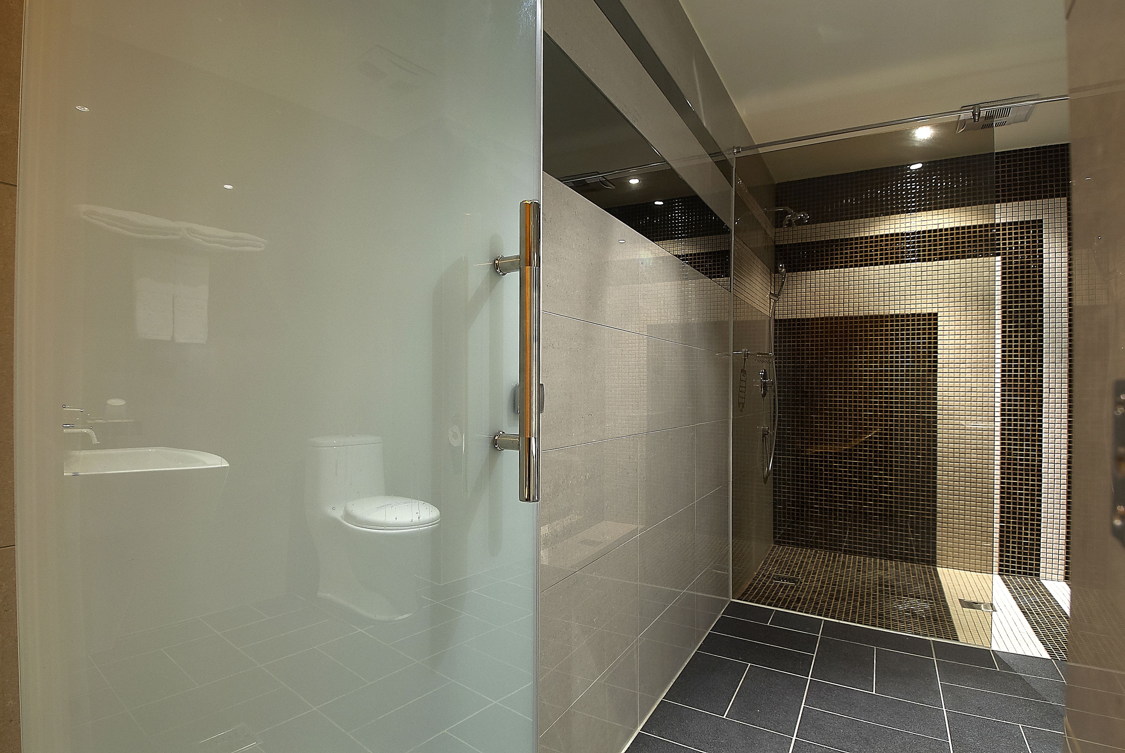 A modern bathroom with a glass shower enclosure, a toilet, and a sink.