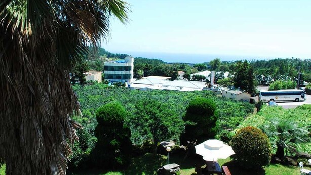 A view of a coastal area with buildings, a parked bus, and lush greenery. - Hera's Castle (Seogwipo)