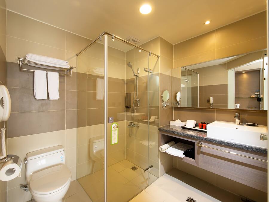 A modern bathroom with a glass-enclosed shower, a toilet, a sink with a vanity, and a large mirror.