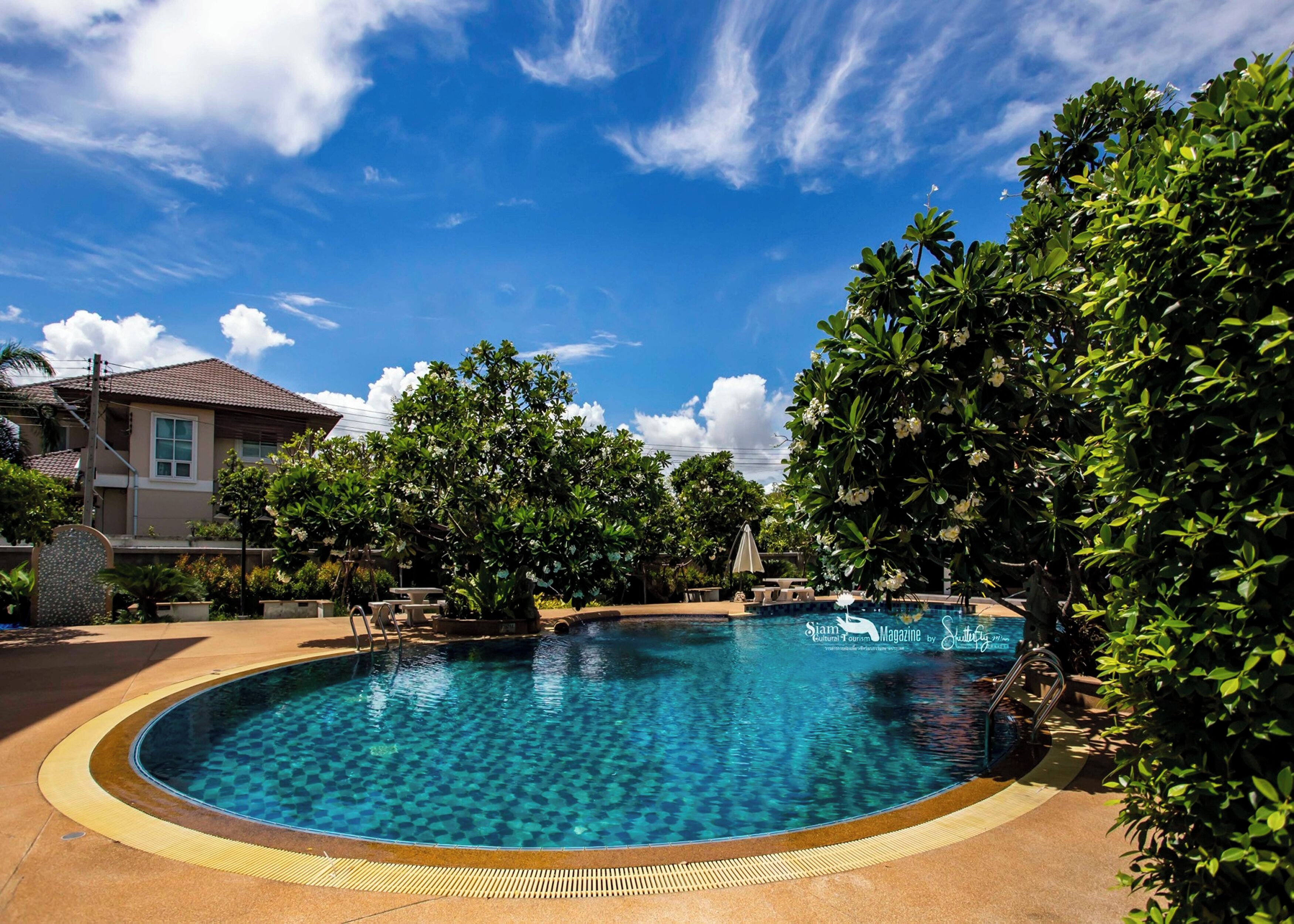 A clear blue pool surrounded by lush greenery and a house in the background.