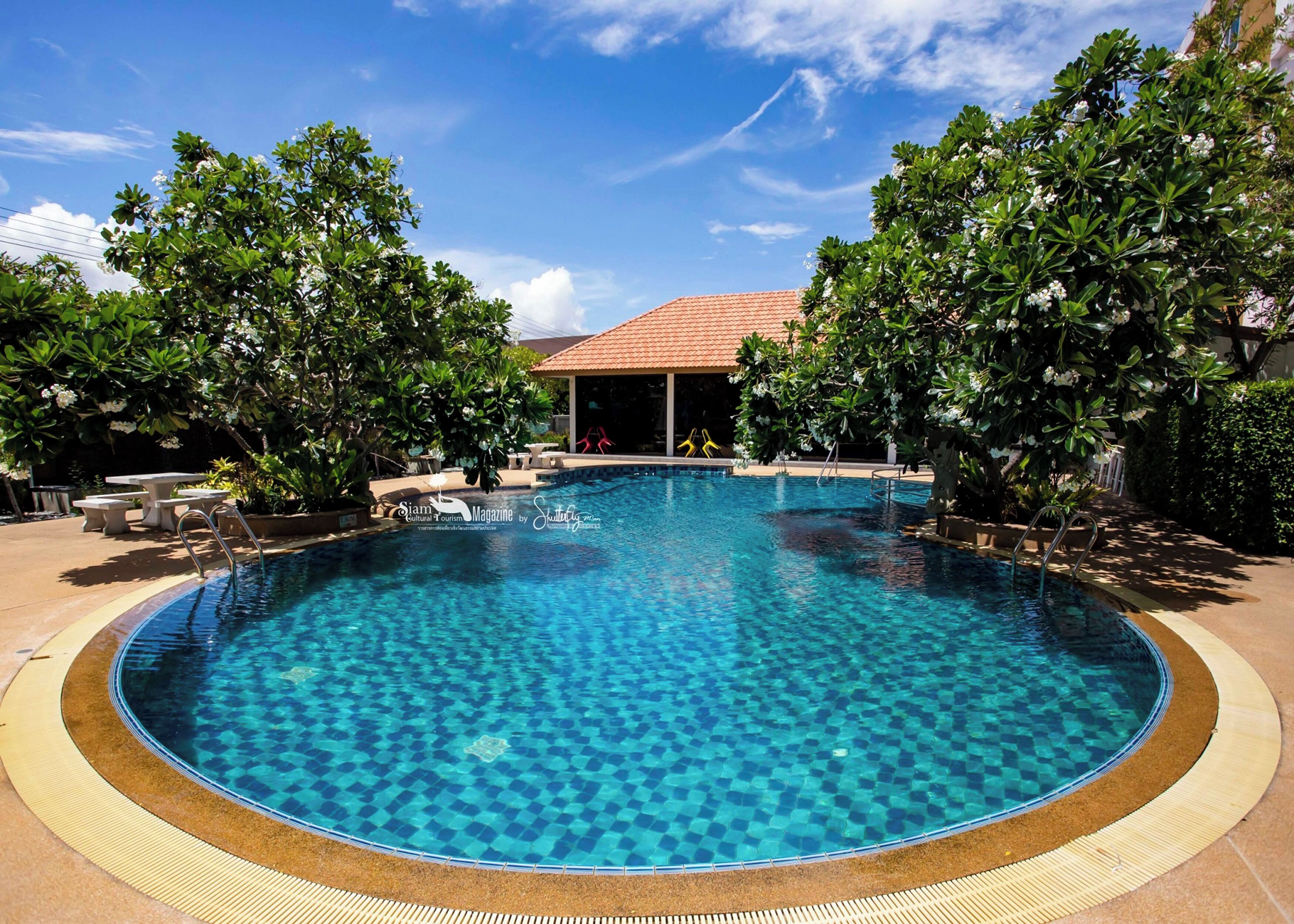 Outdoor pool, pool umbrellas, sun loungers