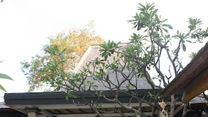 A traditional building with a covered porch, a stone pathway, and lush greenery. - Joglo on the Beach (Banjar)