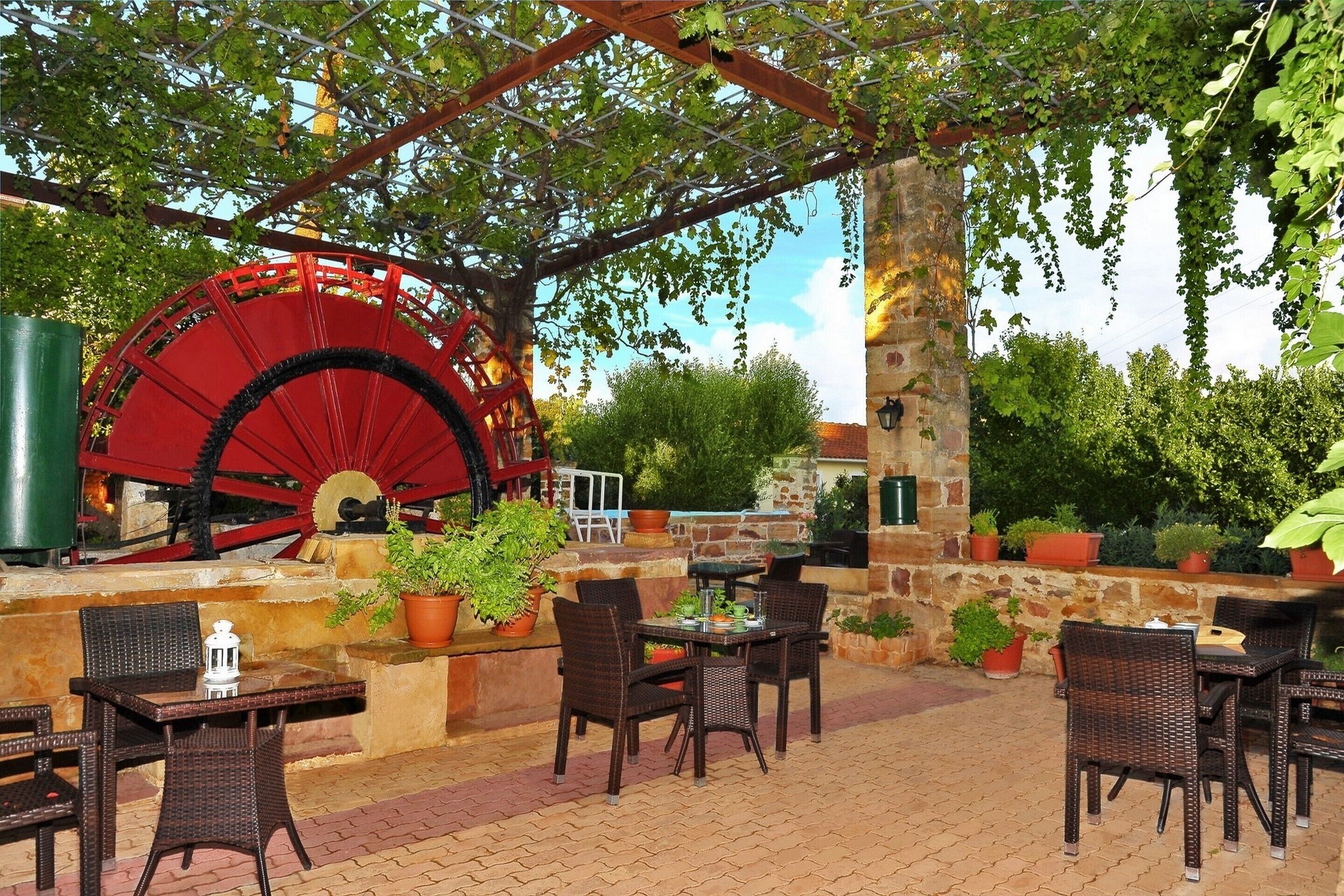 Morgenmad tilberedt efter bestilling hver dag (12 EUR pr. person)