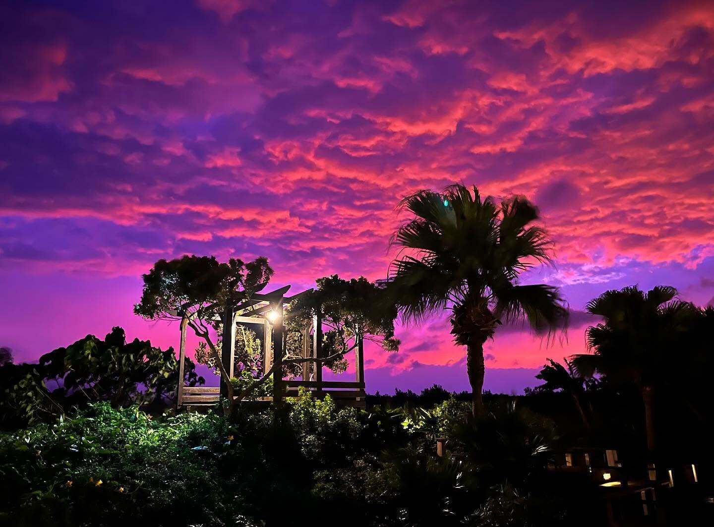 Una estructura tipo quiosco rodeada de abundante follaje y palmeras bajo un cielo de atardecer intenso.