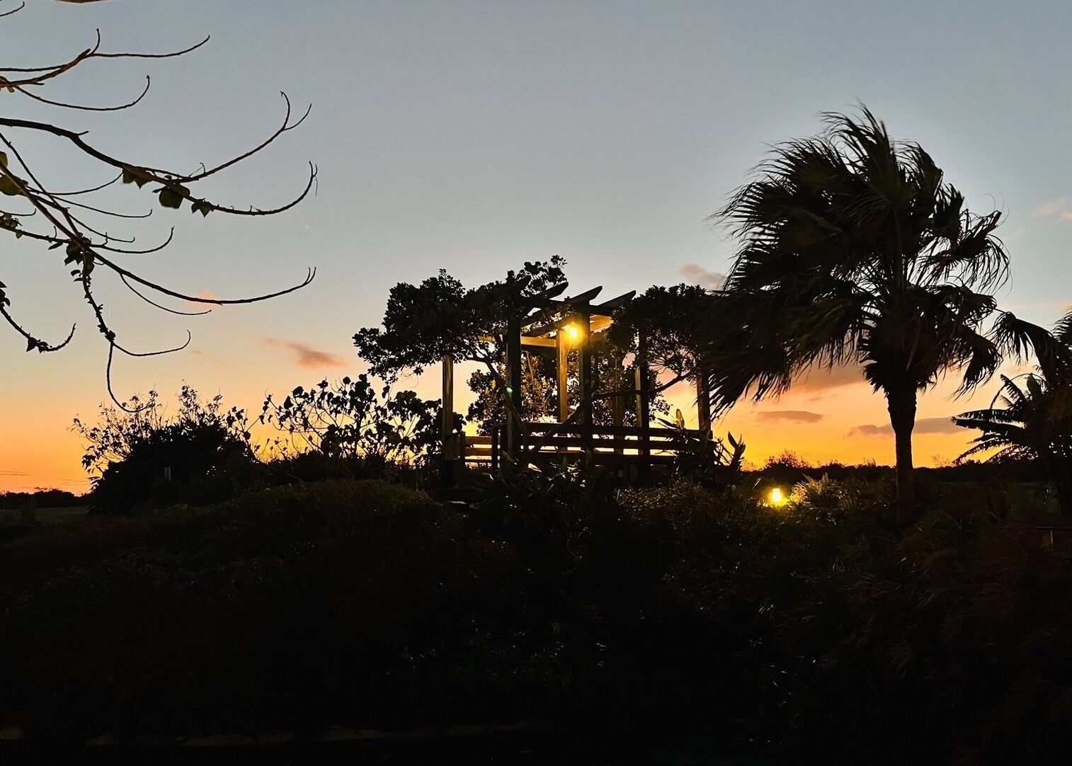 A gazebo with a wooden structure and a roof, surrounded by palm trees and vegetation.