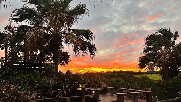 A wooden deck with benches overlooking a sunset view, surrounded by palm trees and vegetation. - Pangola B&B (Hengchun)
