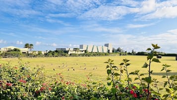 Un extenso campo cubierto de césped con un edificio moderno al fondo.