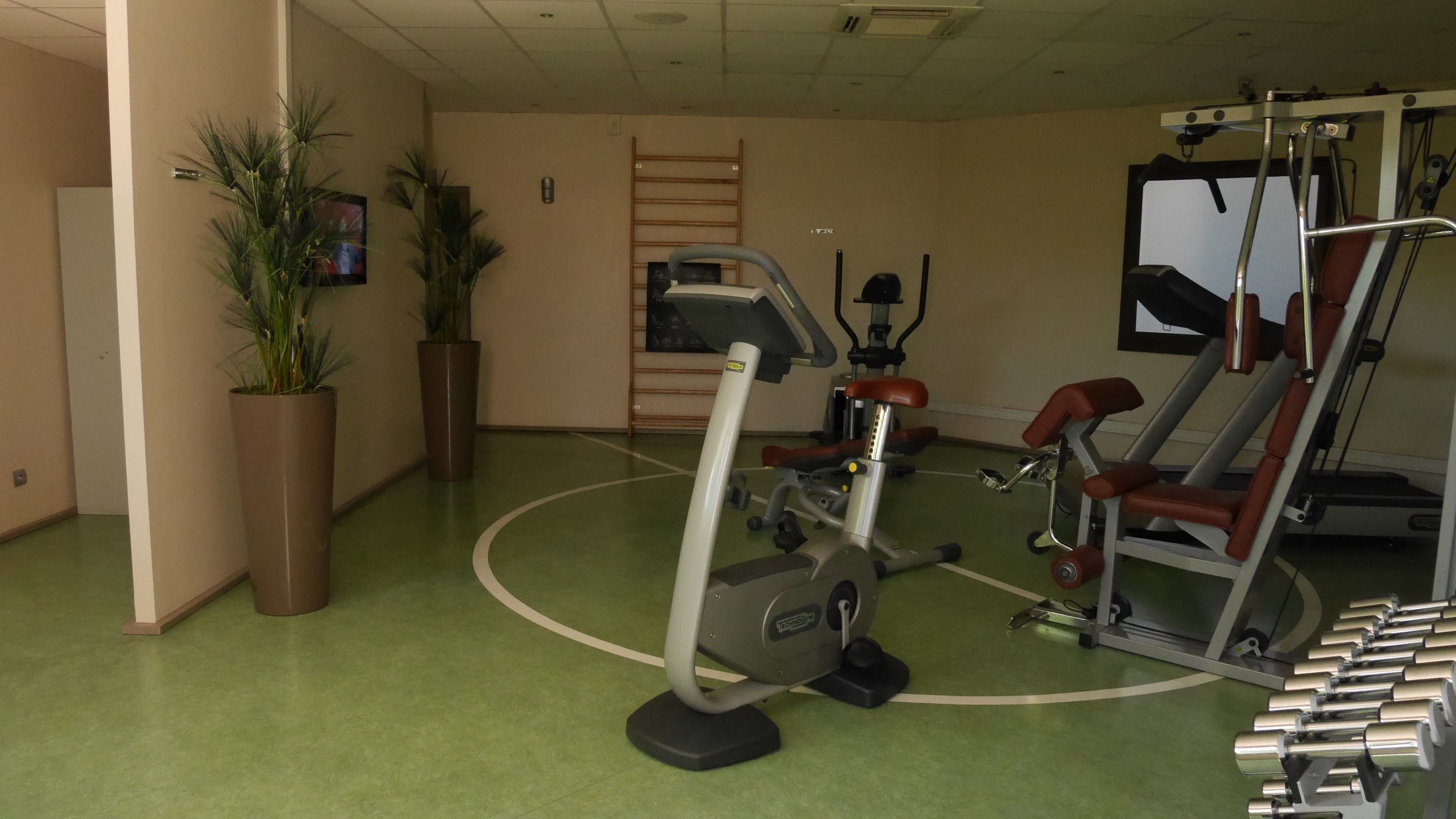 A gym with exercise equipment, a green floor, and potted plants.