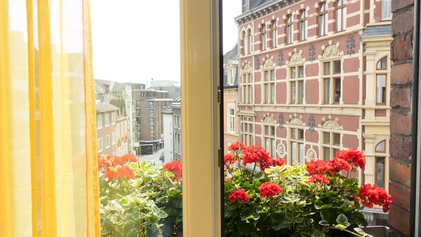 Une vue à travers une fenêtre, avec des fleurs rouges au premier plan et un bâtiment à la façade rouge et crème en arrière-plan.