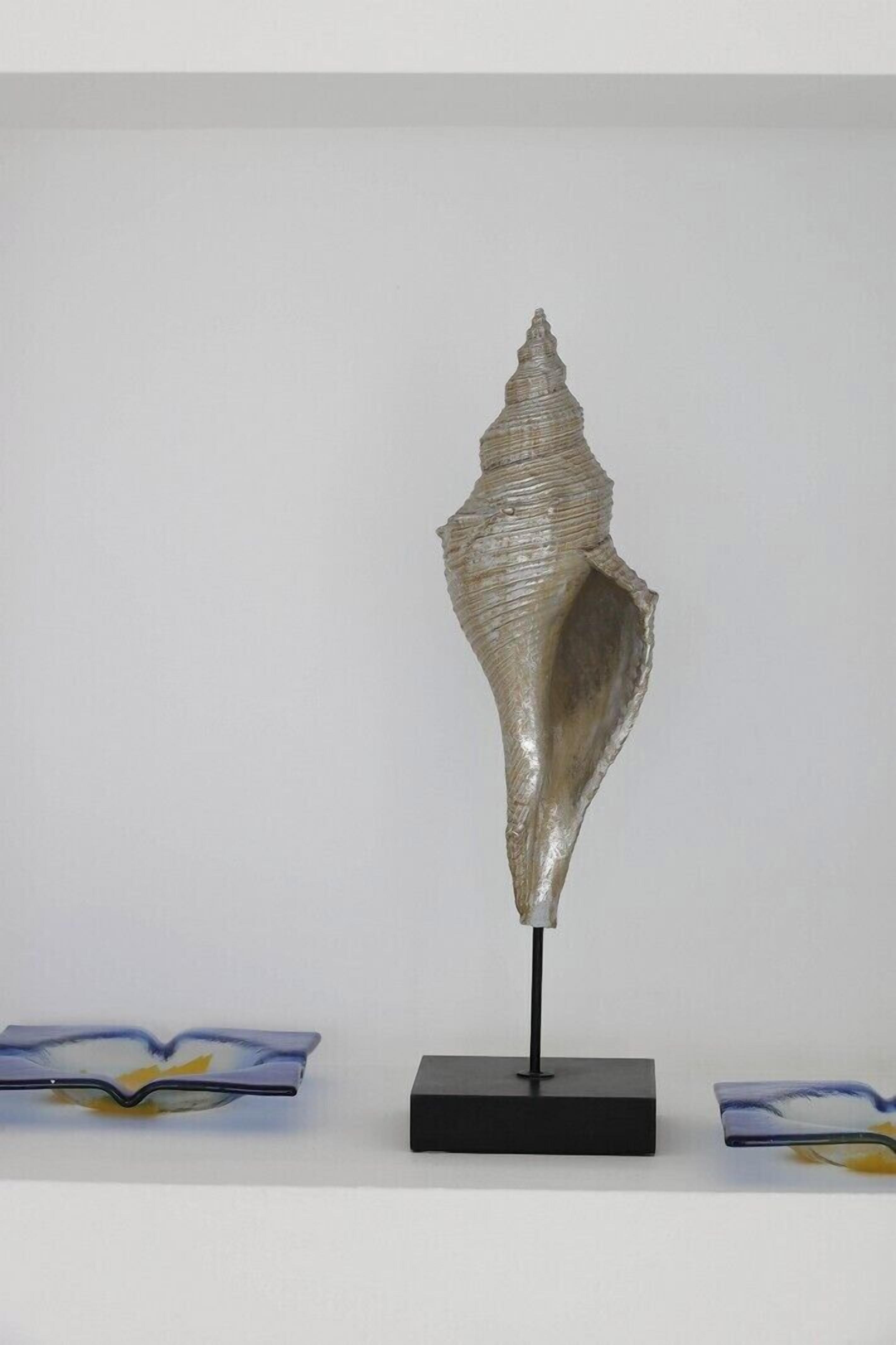 A single shell sculpture on a black stand against a plain background.