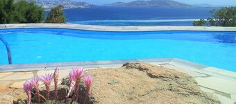 Adikri Villas & Suites