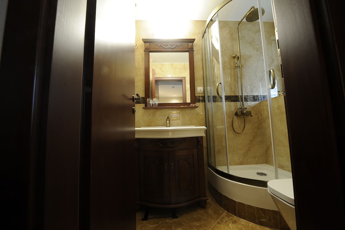 standard single room, 1 double bed | bathroom | shower, free toiletries, hair dryer, bathrobes