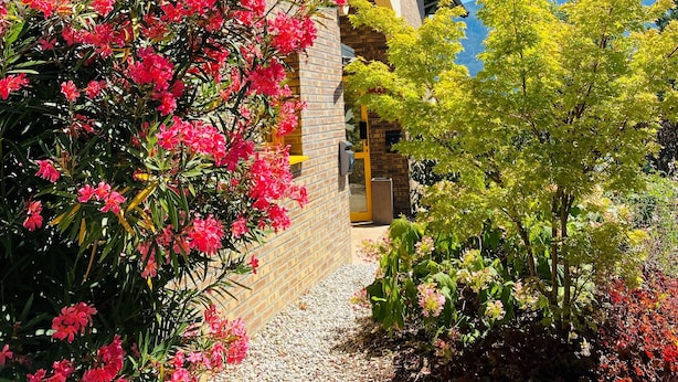A building with a brick facade, a yellow sign, and a garden with pink flowers.