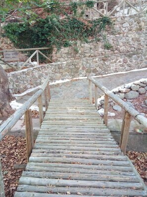Un escalier en bois menant à un mur de pierre, le tout entouré de végétation.