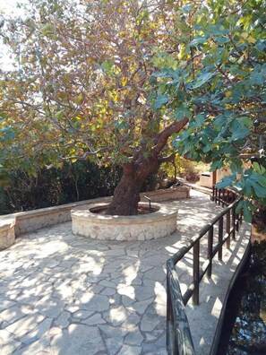 Familie appartement, 2 slaapkamers | Uitzicht vanuit de kamer