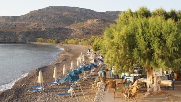 Une zone aménagée au bord de la plage, avec des rangées de chaises longues bleues et de parasols blancs, un espace repas avec des tables et des chaises, et un panneau indiquant « Chambres sur la plage ».