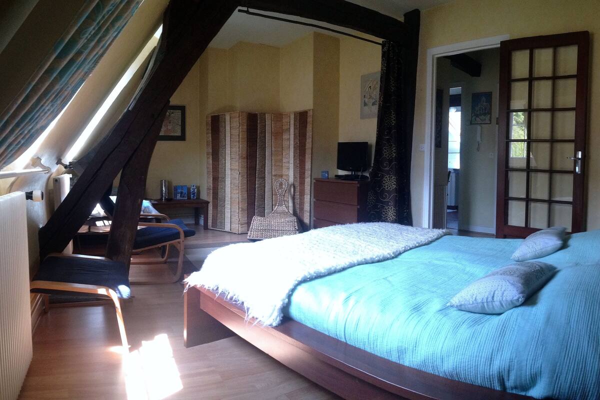Junior Studio Suite, 1 Bedroom, Kitchen, River View