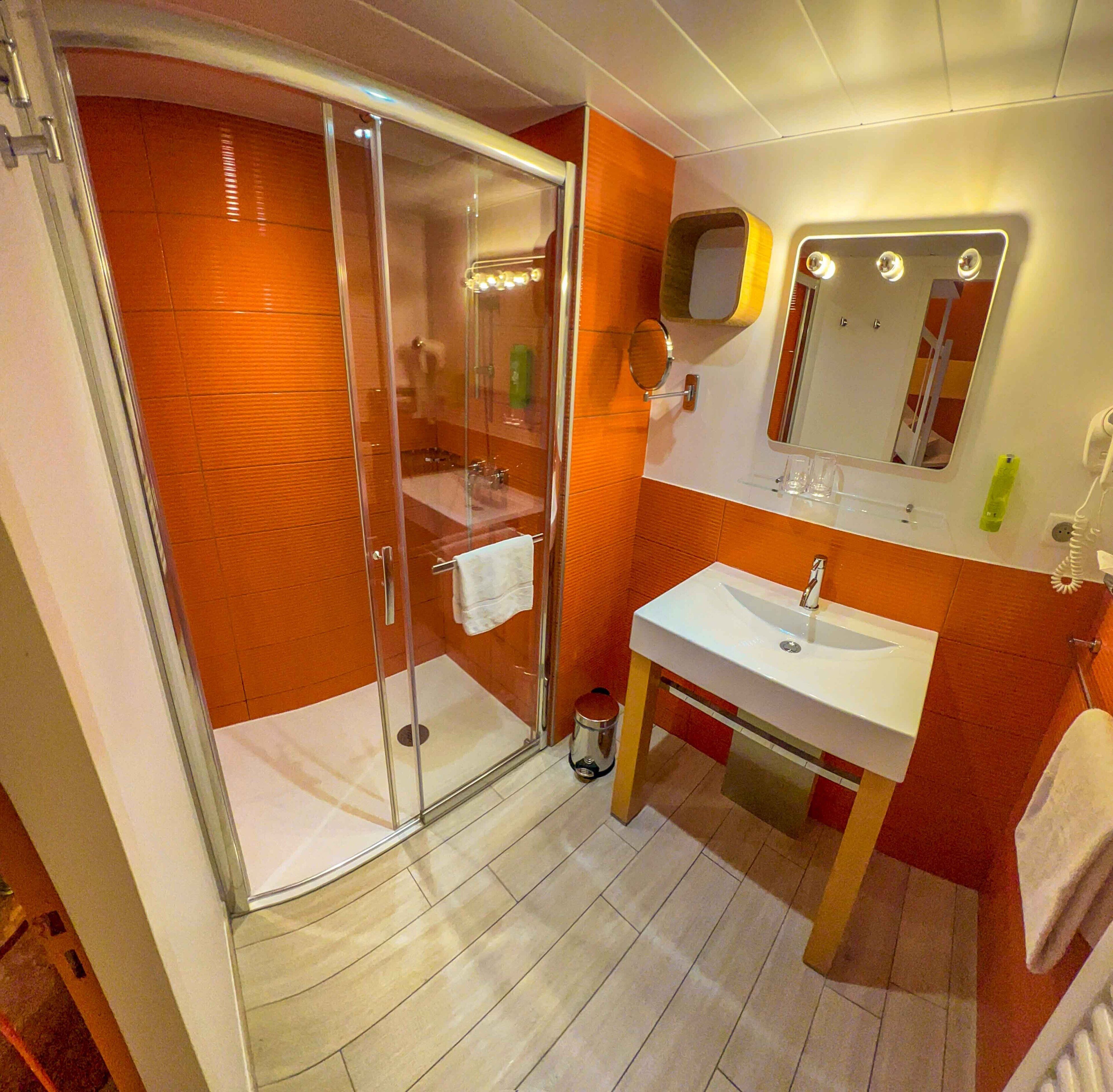 deluxe room | bathroom | shower, eco-friendly toiletries, hair dryer, towels