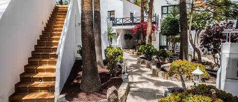Un patio con escaleras, palmeras y un camino que lleva a un edificio.
