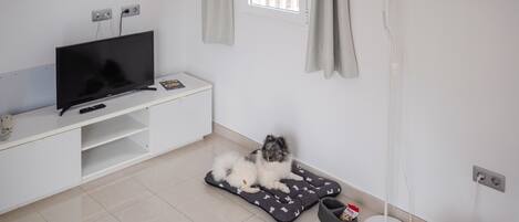 A modern living room with a TV, a pet bed, a floor lamp, and a dining area.