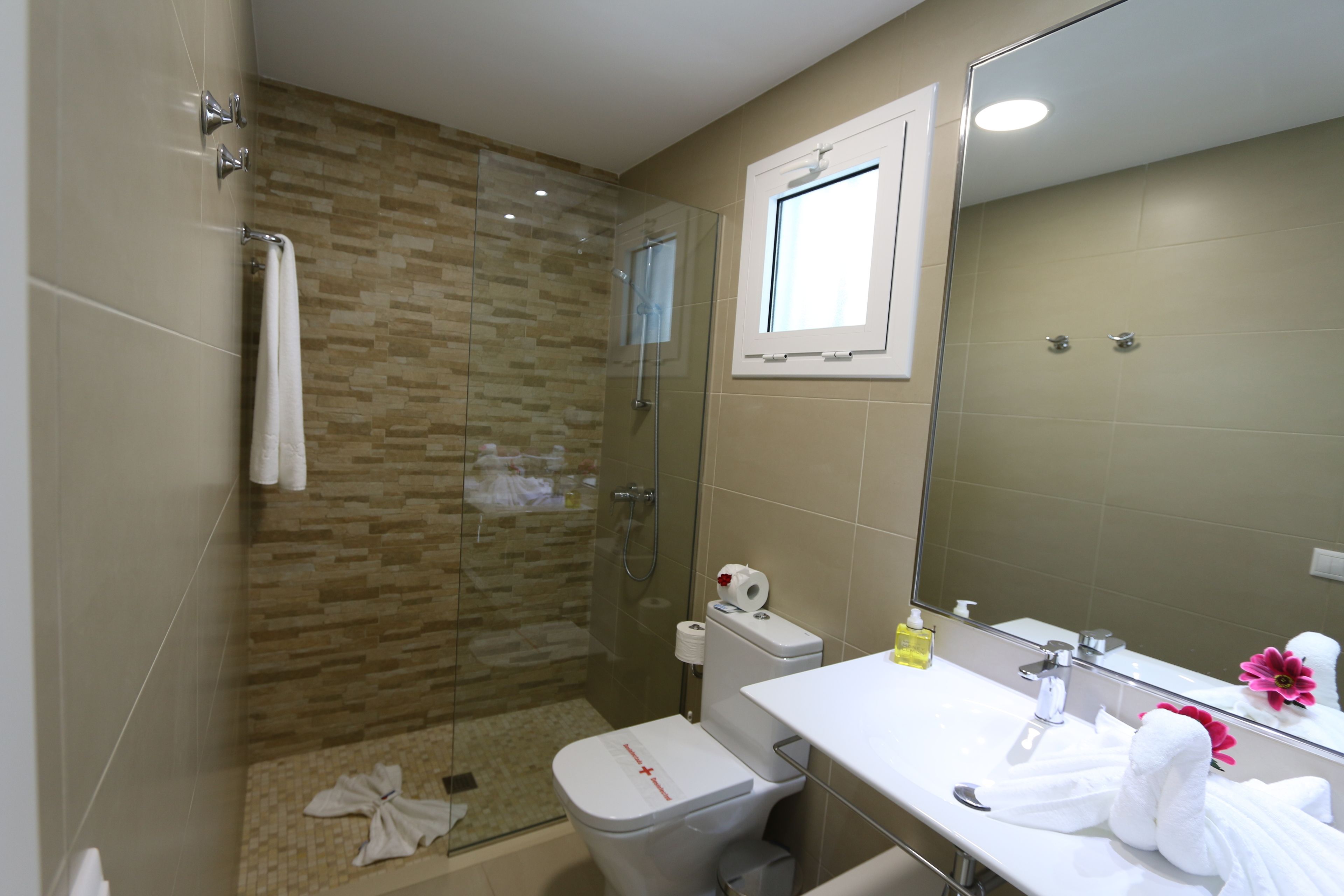 A bathroom with a glass-enclosed shower, a toilet, and a sink with a mirror.