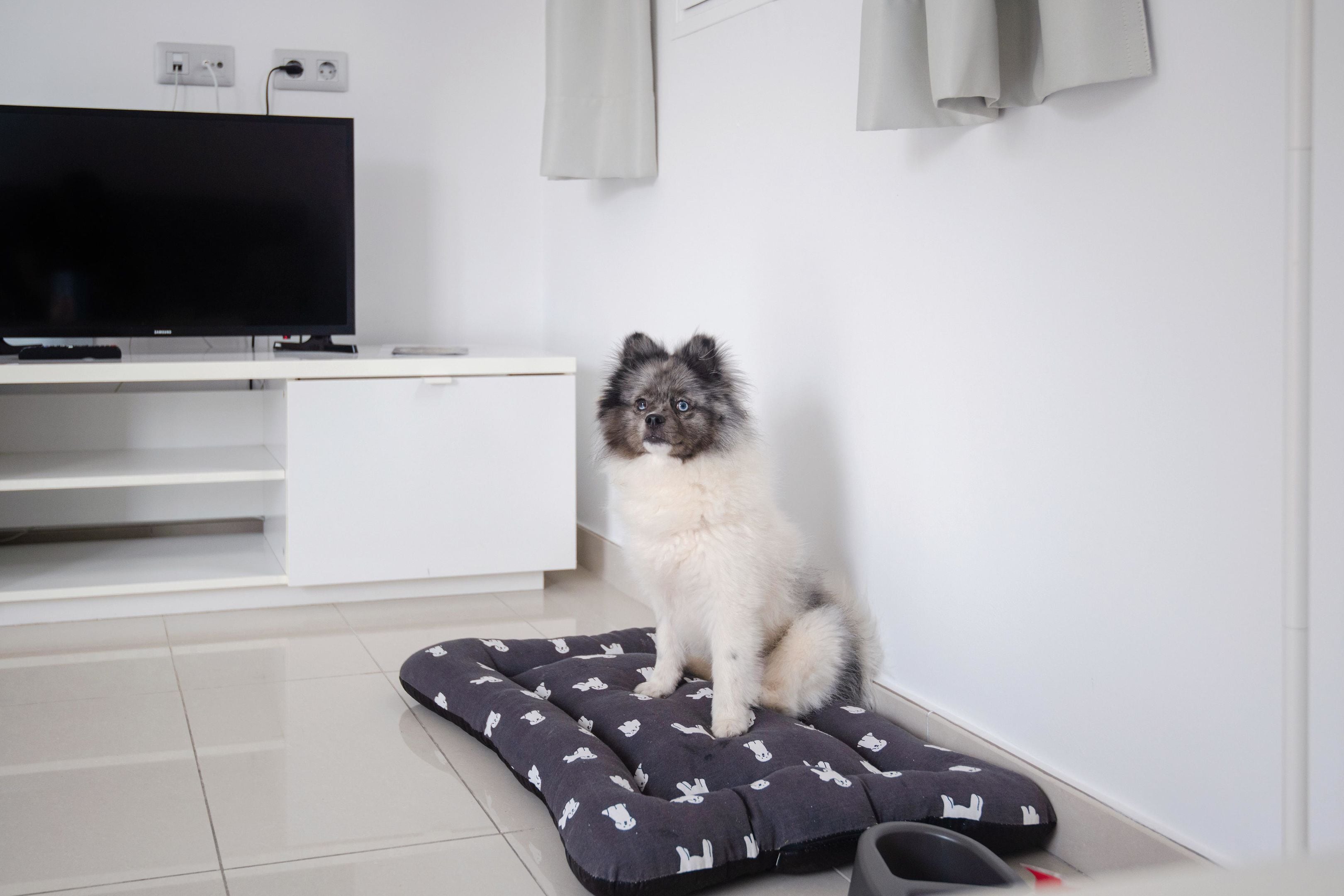 Foto - Bahia Calma Beach