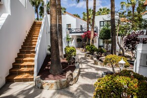 Property grounds - Bahía Calma Beach (Pajara)