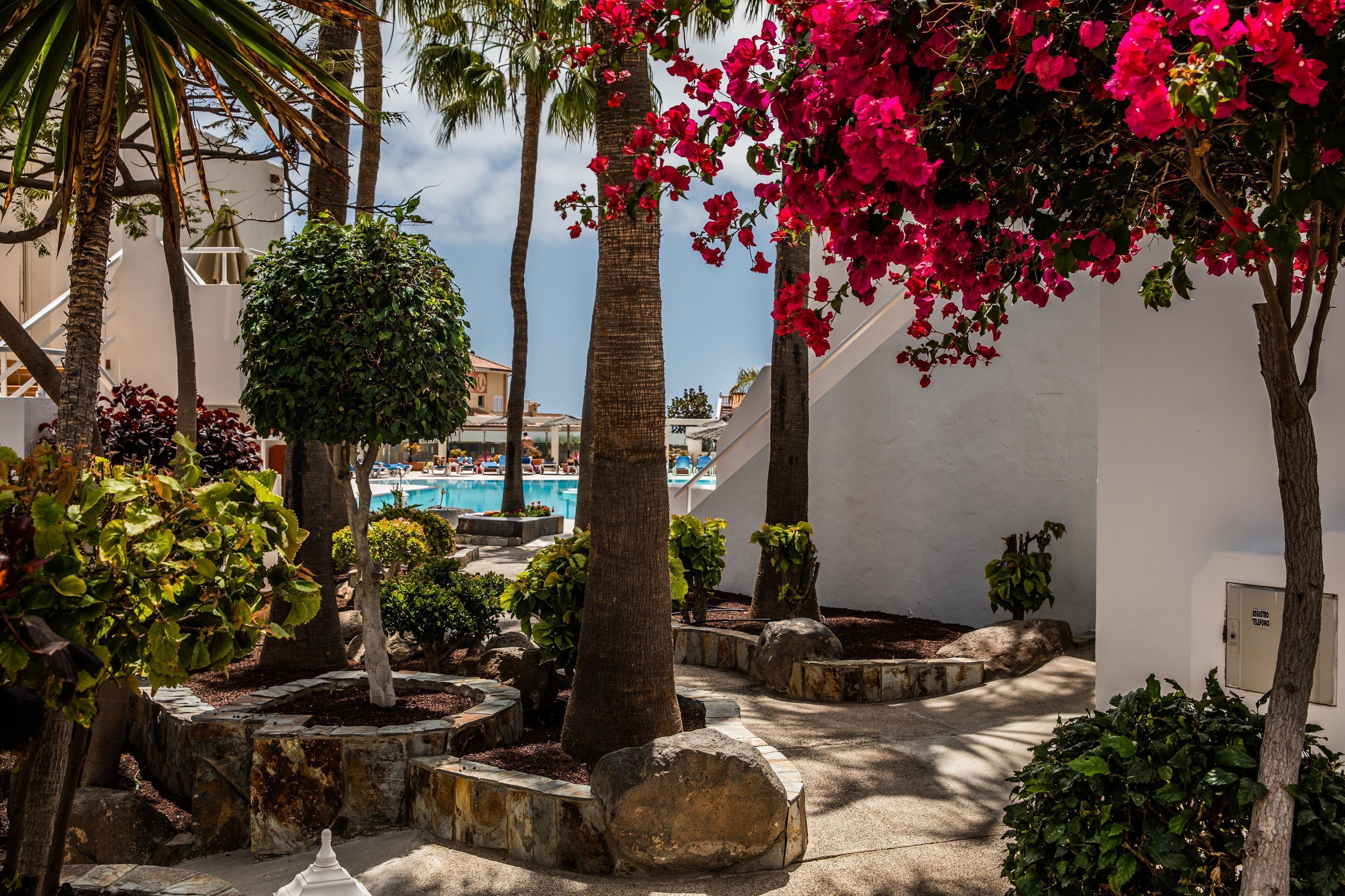 Une cour intérieure agrémentée de palmiers, de fleurs de bougainvillier et d’une piscine en arrière-plan.