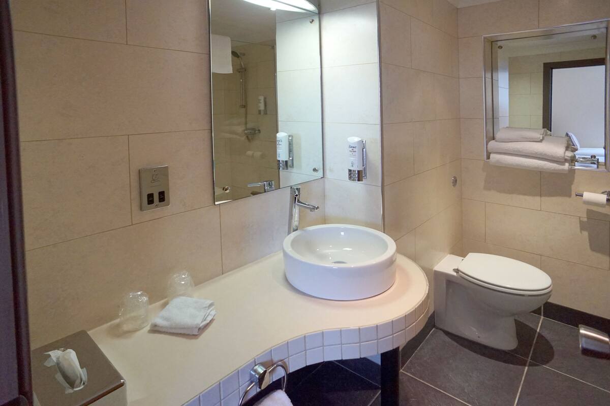 deluxe twin room | desk, iron/ironing board, free wifi, bed sheets