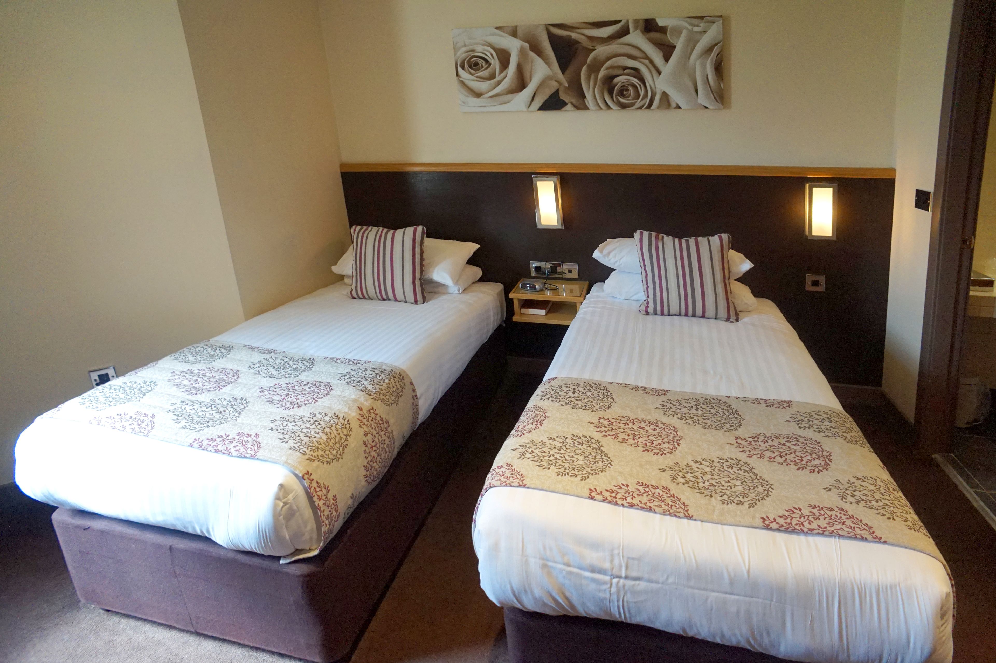 deluxe twin room | desk, iron/ironing board, free wifi, bed sheets