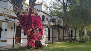 Ngoại thất