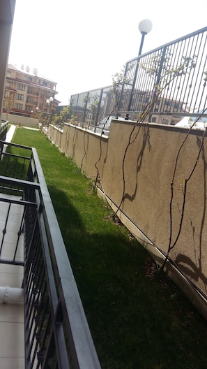 A courtyard with a green lawn, a concrete wall, and a metal fence.