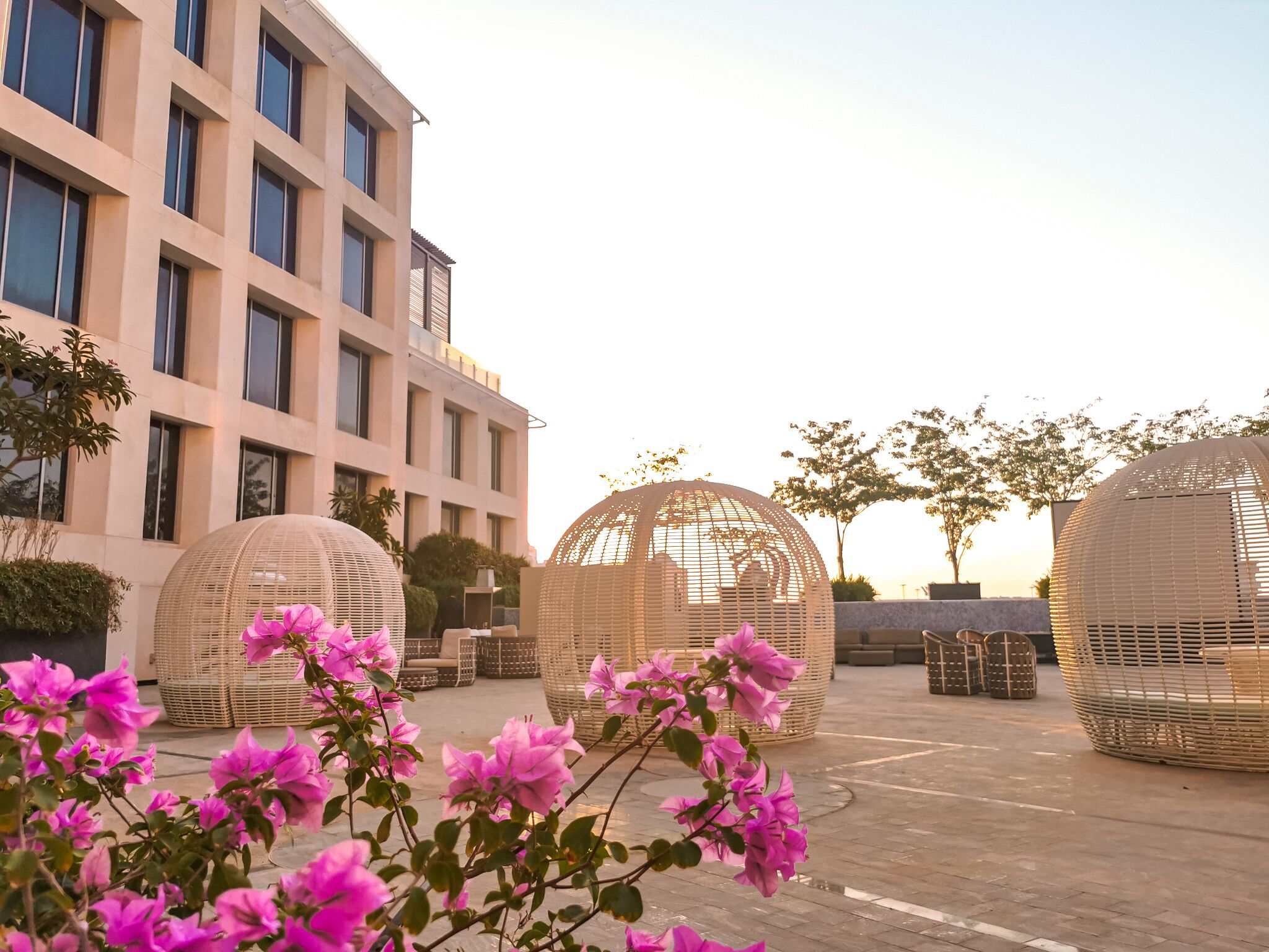 Un edificio moderno con grandes ventanales y un patio con estructuras esféricas de mimbre y flores de buganvilla.