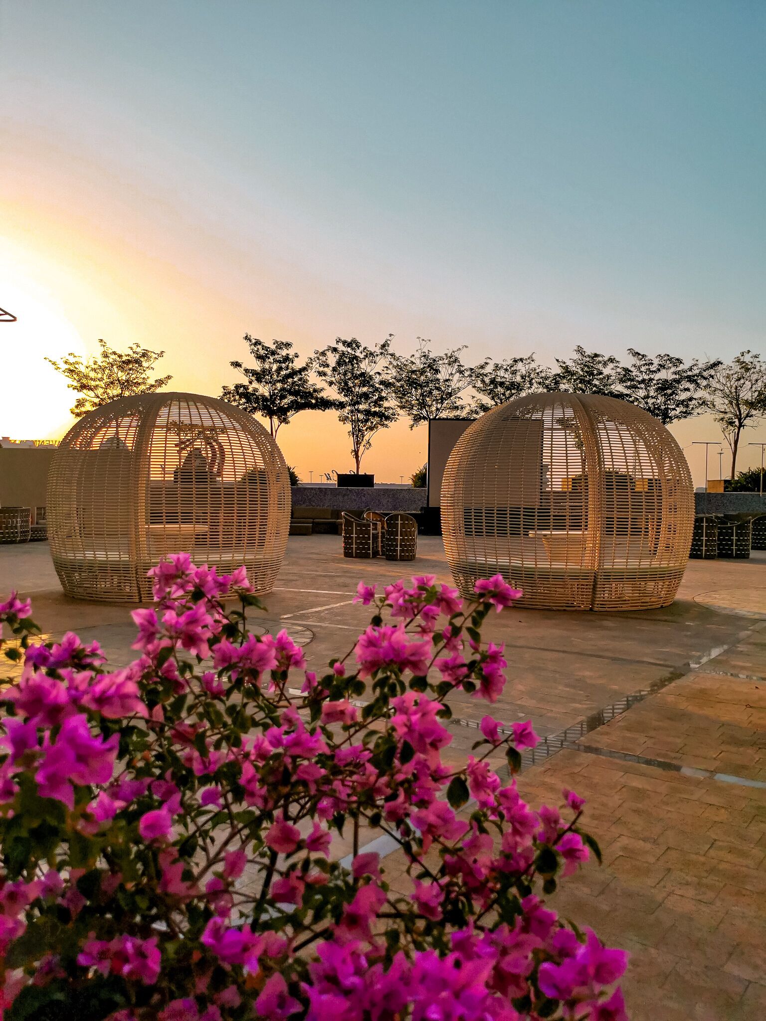 Dos estructuras esféricas con diseño de celosía, rodeadas de árboles y flores rosadas.