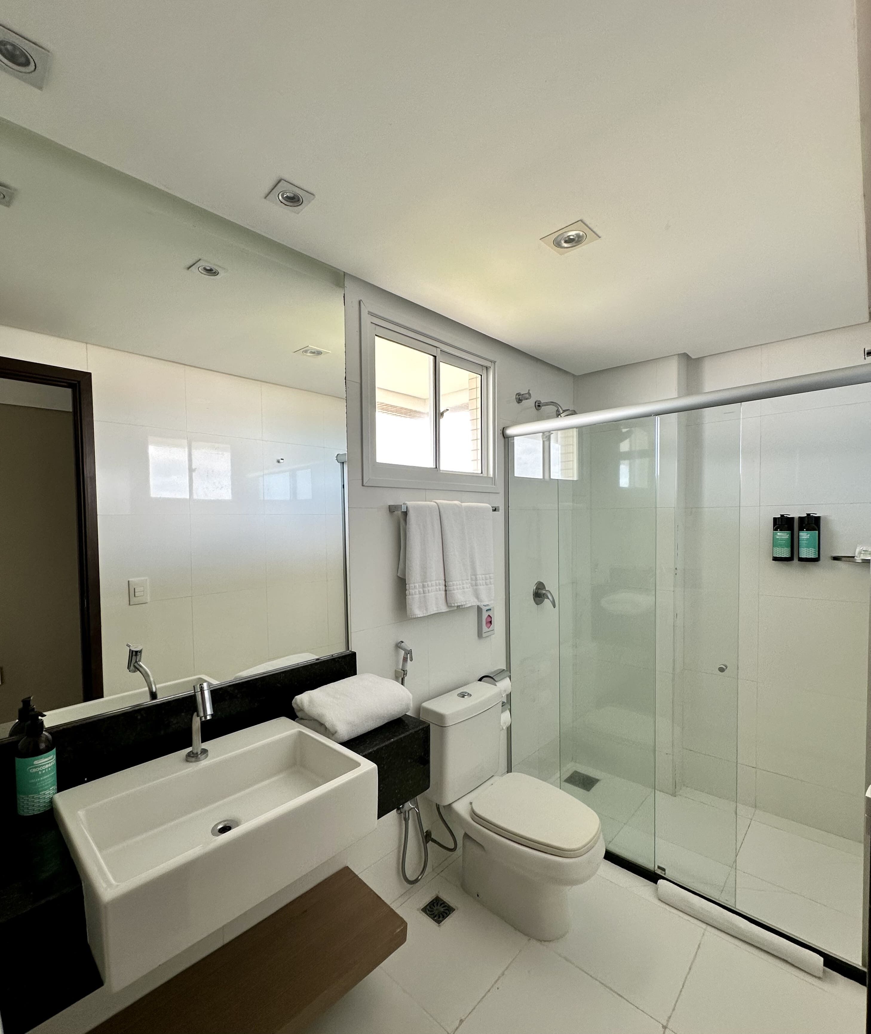 shower, free toiletries, hair dryer, towels