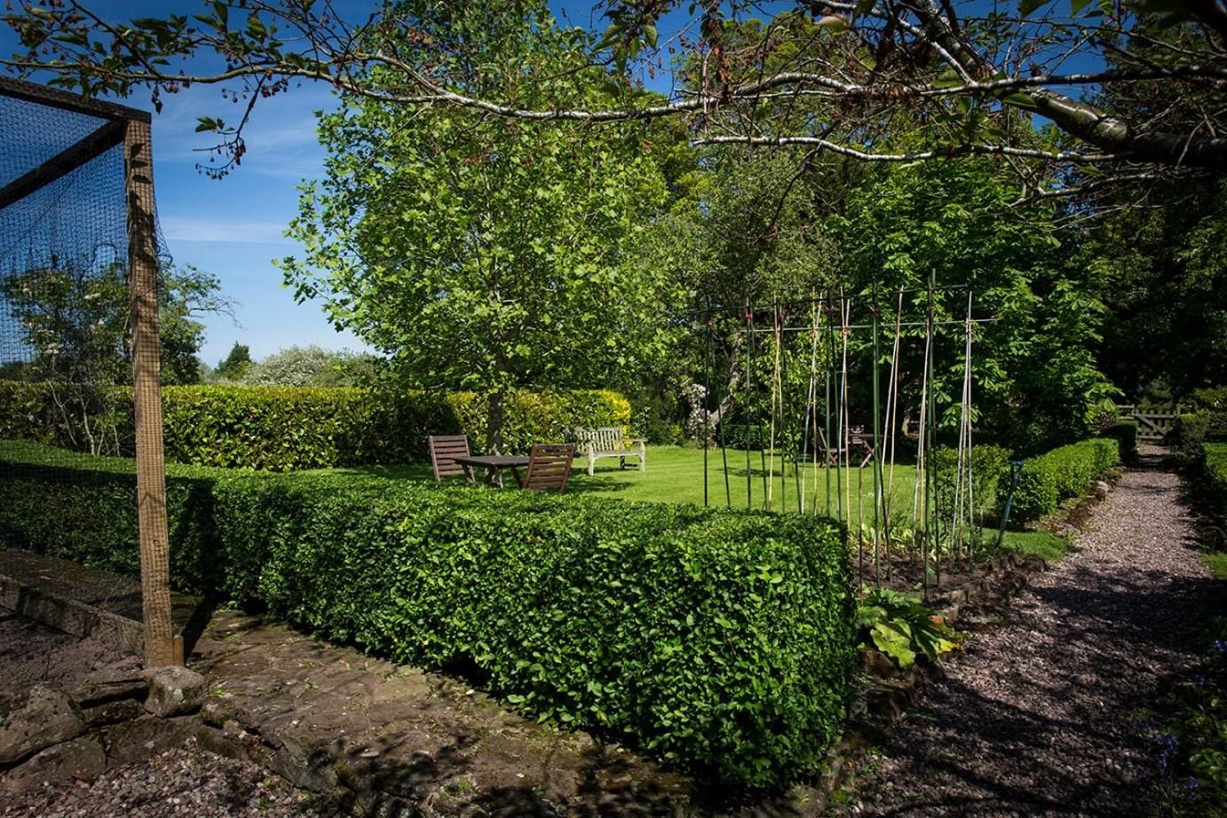 A garden with a bench, a hedge, and a wooden fence.