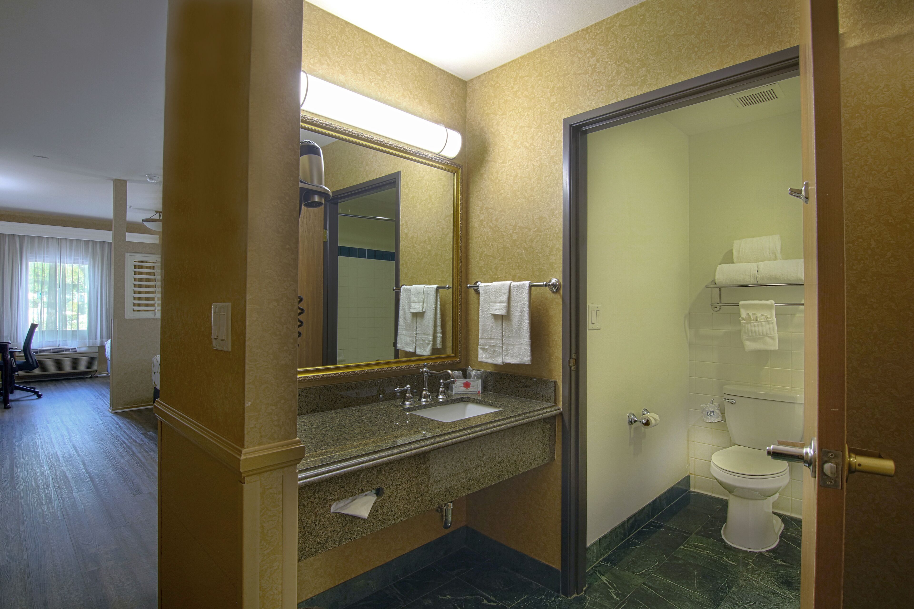 A hotel bathroom with a sink, mirror, and toilet.