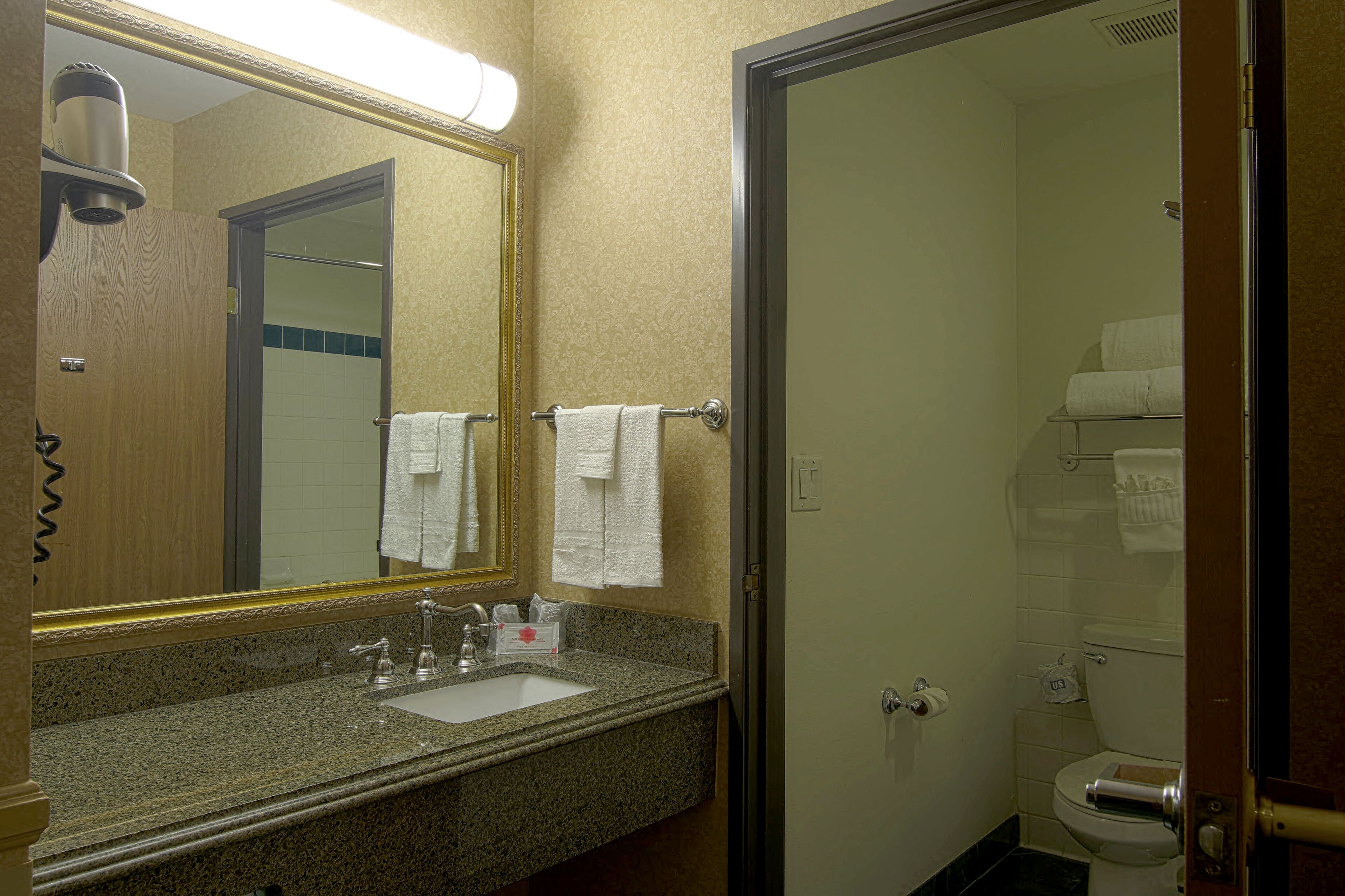 A bathroom with a granite countertop sink, a mirror, and a toilet.